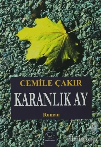 Karanlık Ay