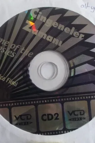 Çingeneler Zamanı / Film Cd