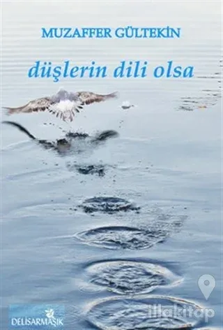 Düşlerin Dili Olsa