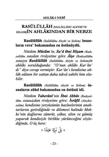 Ahlakı Nebi
