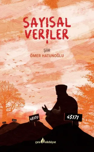 SAYISAL VERİLER