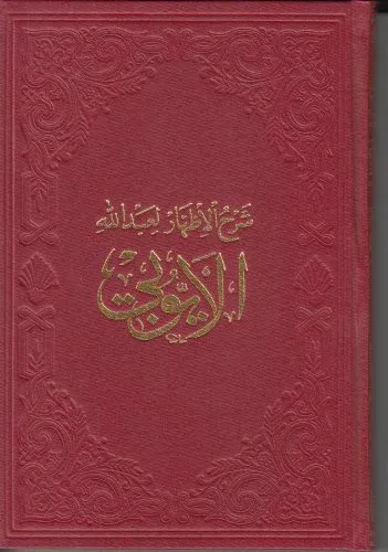 Eyyübi | Şerhul İzhar - الأيوبي - شرح الإظهار