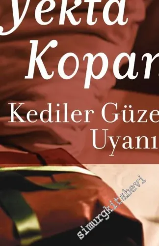 Kediler Güzel Uyanır -         2016