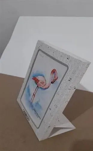 yayincilarkooperatifi.com