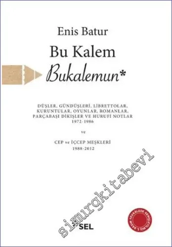 Bu Kalem Bukalemun -         2017