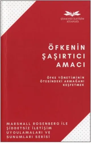 Öfkenin Şaşırtıcı Amacı - Öfke Yönetiminin Ötesindeki Armağanı Keşfetmek