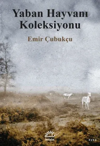 Yaban Hayvanı Koleksiyonu