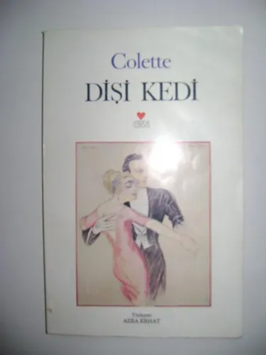 Dişi Kedi