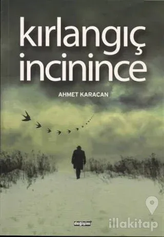 Kırlangıç İncinince