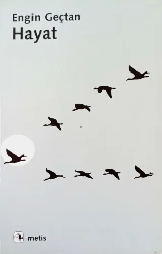 Hayat