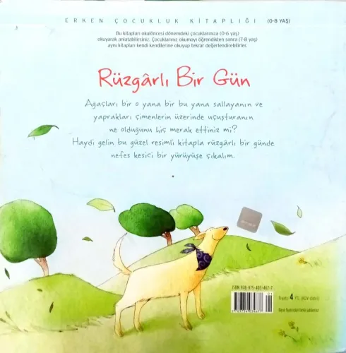 Rüzgarlı Bir Gün Anna Milbourne Tübitak