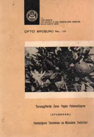 Turunçgillerde Zarar Yapan Palamutlaşma
