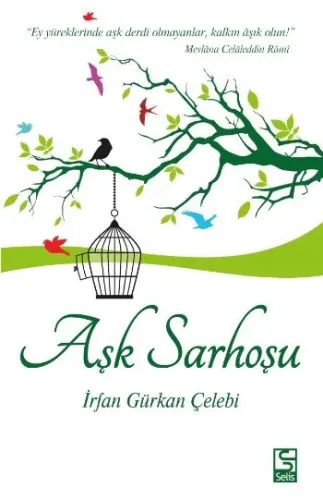Aşk Sarhoşu Ey Yüreklerinde Aşk Derdi Olmayanlar Kalkın Aşık Olun