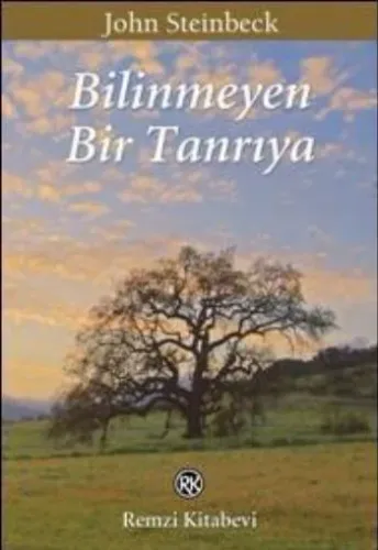 Bilinmeyen Bir Tanrıya