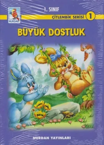 Nurdan 1. Sınıf Çitlembik Serisi 10 Kitap Takım