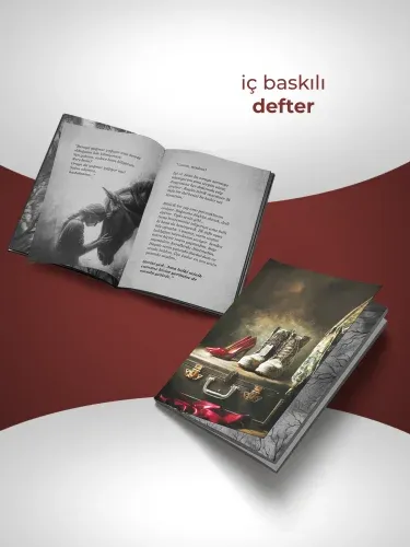 SET-BÜLBÜL KAPANI SERİSİ(4 KİTAP) MIKNATISLI KUTU-YAN BOYAMALI