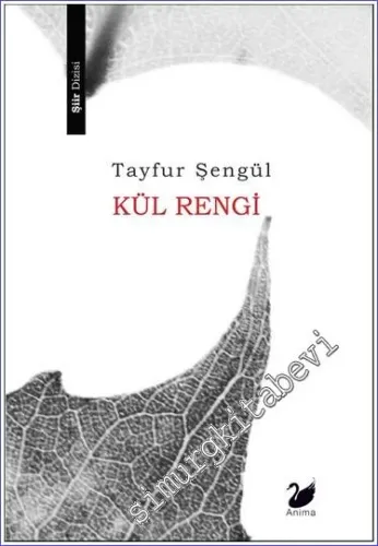 Kül Rengi -         2023