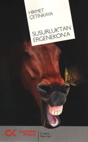 Susurluk'tan Ergenekon'a