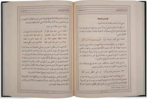 Hulasatül Fevaid El Mahavviyye 4 Cilt Takım - خلاصة الفوائد المحوية في