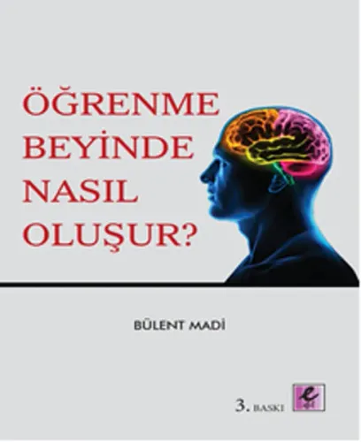 Öğrenme Beyinde Nasıl Oluşur? | Kitap Ambarı