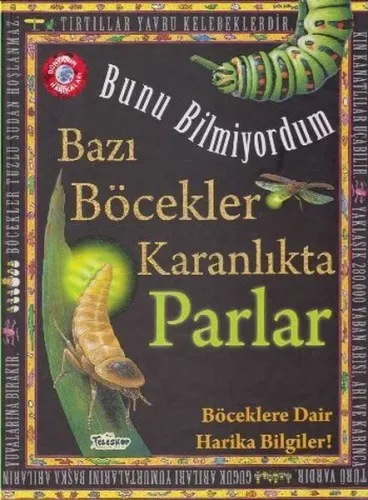 Bazı Böcekler Karanlıkta Parlar - Bunu Bilmiyordum Böceklere Dair Harika Bilgiler!