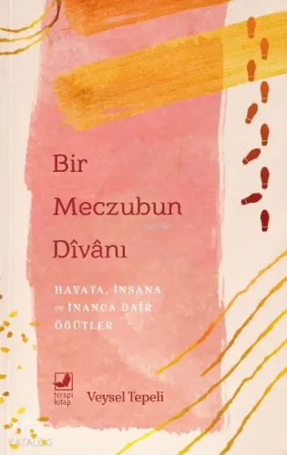 Bir Meczubun Divanı;Hayata, İnsana ve İnanca Dair Öğütler