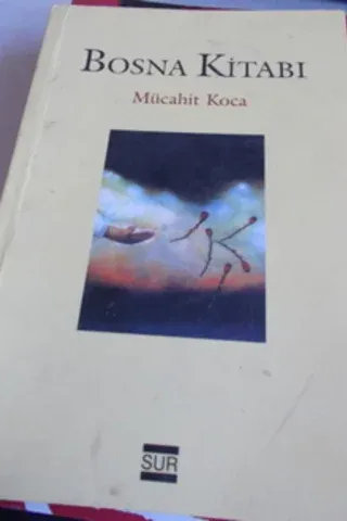 Bosna Kitabı
