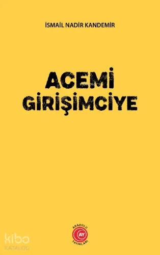 Acemi Girişimciye