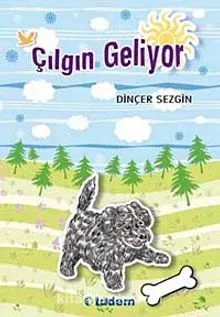 Çılgın Geliyor