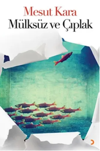 Mülksüz ve Çıplak