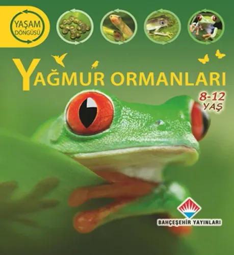 Yaşam Döngüsü Yağmur Ormanları 8 - 12 Yaş
