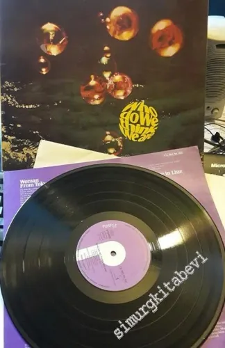 33 LP PLAK VINYL: Deep Purple - Who Do We Think We Are -        1973