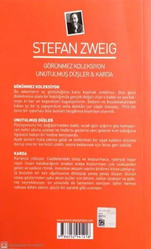 Görünmez Koleksiyon - Unutulmuş Düşler - Karda Stefan Zweig Mavi Çatı 