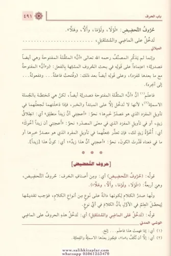 Şerhül Muğni شرح المغني في النحو Muhammed Bin Abdurrahim El Meylani / 