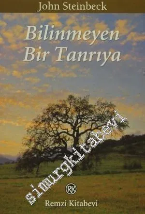 Bilinmeyen Bir Tanrıya -
