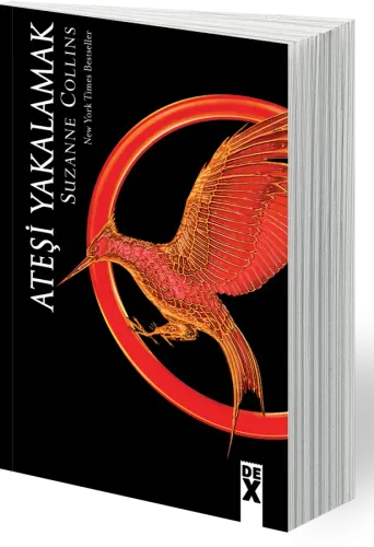 Ateşi Yakalamak