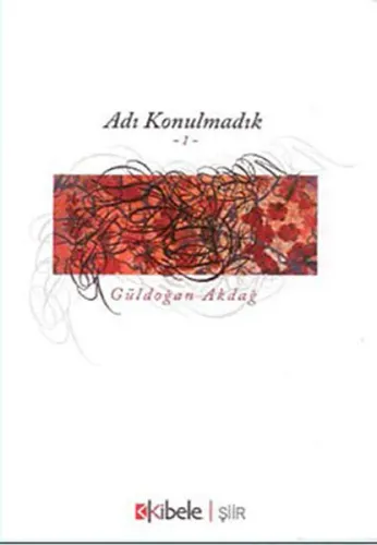 Adı Konulmadık 1