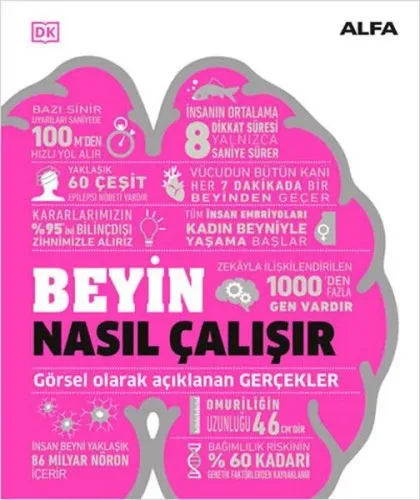 Beyin Nasıl Çalışır;Görsel Olarak Açıklanan Gerçekler