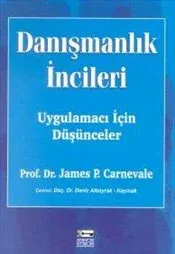 Danışmanlık İncileri