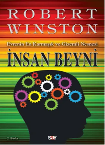 İnsan Beyni