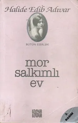 Mor Salkımlı Ev