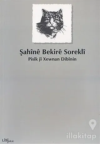Pisik ji Xewnan Dibinin