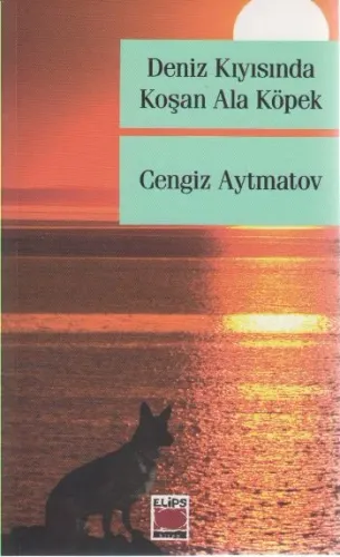 Deniz Kıyısında Koşan Ala Köpek