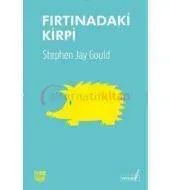 Fırtınadaki Kirpi