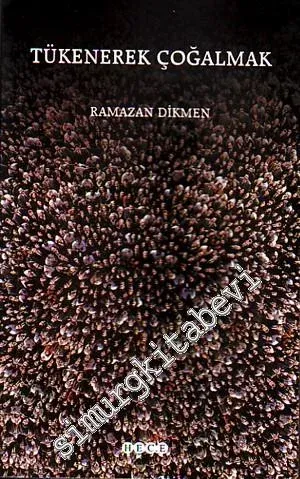 Dilbendi -