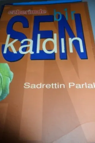 Ezberimde Bir Sen Kaldın