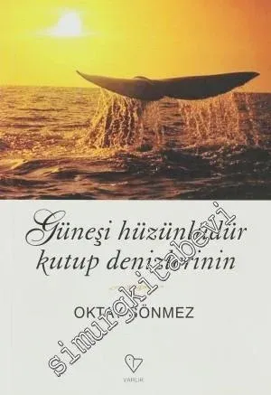 Güneşi Hüzünlüdür Kutup Denizlerinin -