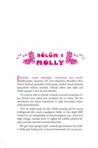 Nasıl İyi Bir Varlık Olunur? Sy Montgomery
