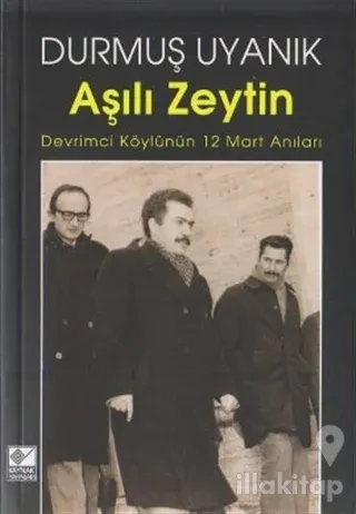 Aşılı Zeytin