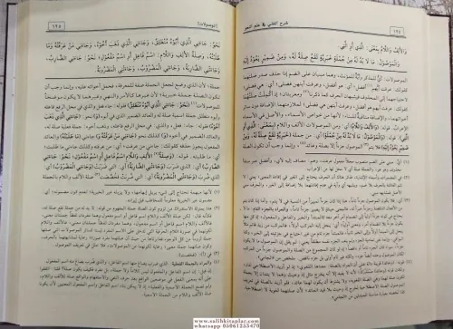 Şerhül Muğni شرح المغني في النحو Muhammed Bin Abdurrahim El Meylani / 
